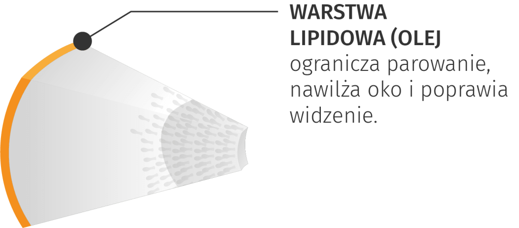 interferometria warstwowa meibografia mruganie