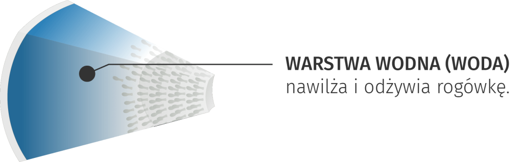 warstwa lza menisk